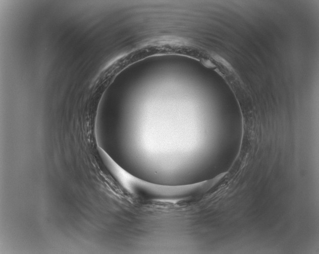 X0000079331112200611171142