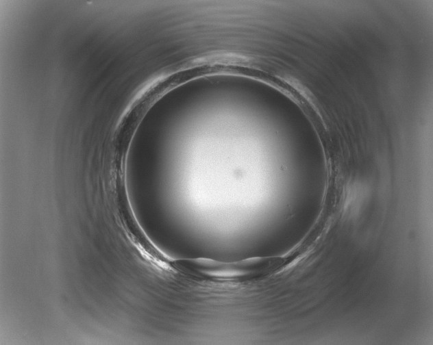 X0000079331115200611171142