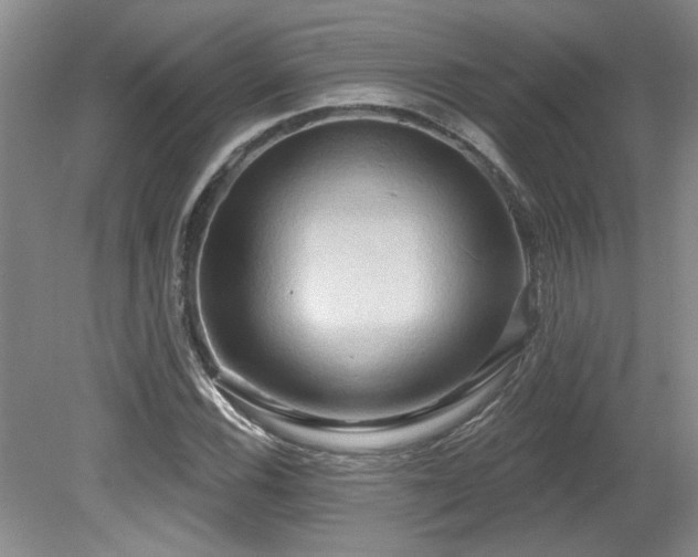 X0000079331116200611171142