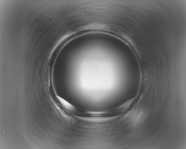 X0000079331123200611171142
