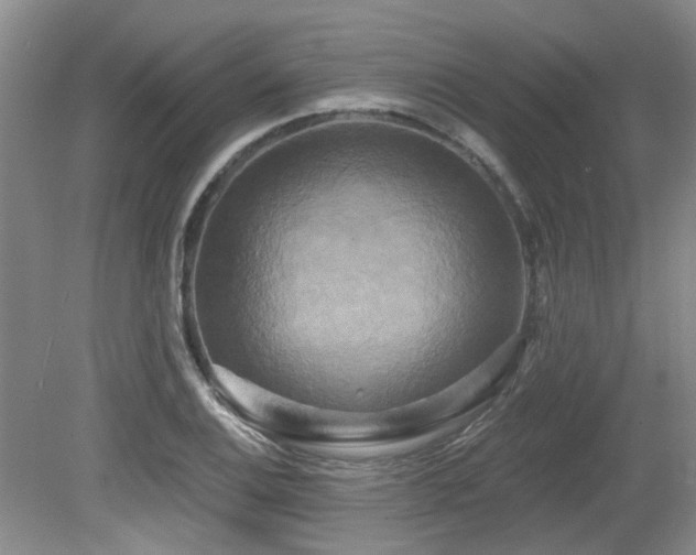 X0000079331124200611171142