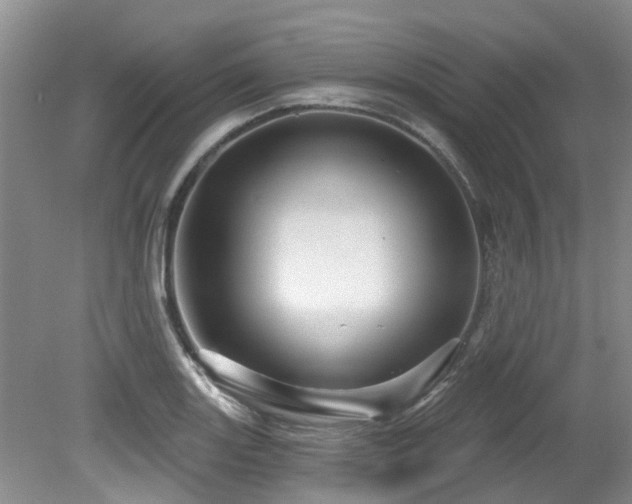 X0000079331131200611171142