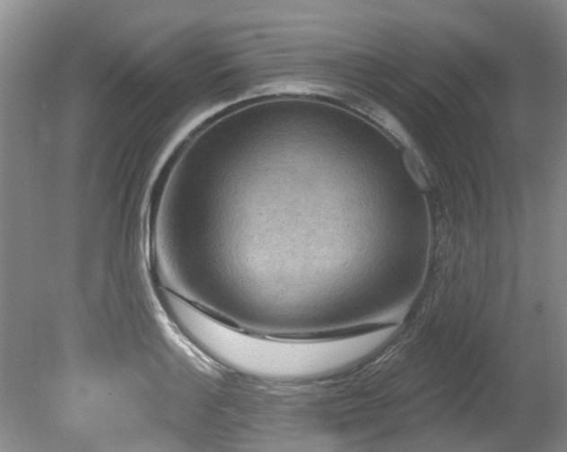 X0000079331132200611171142