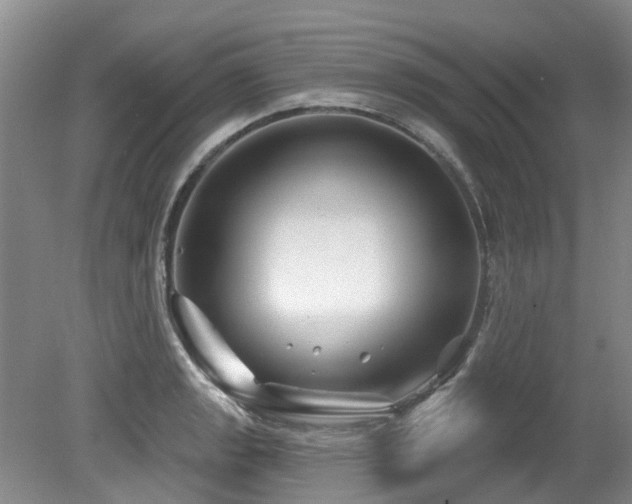 X0000079331133200611171142