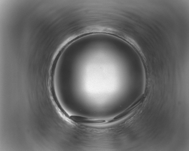 X0000079331136200611171142