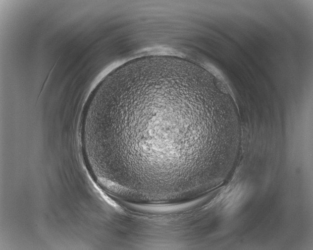 X0000079331141200611171142