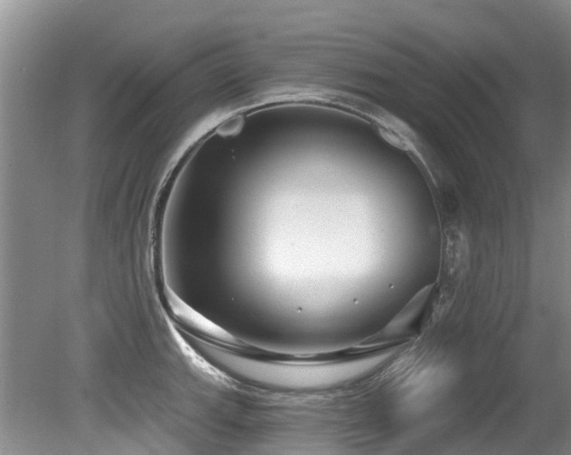 X0000079331143200611171142