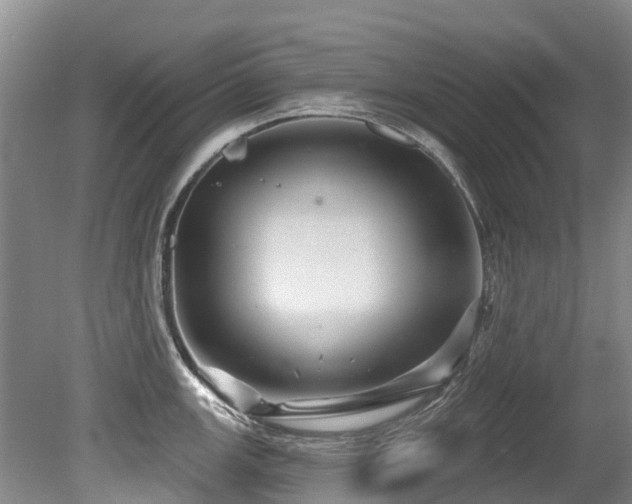 X0000079331147200611171142