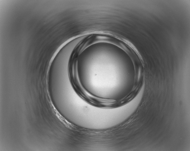 X0000079331148200611171142