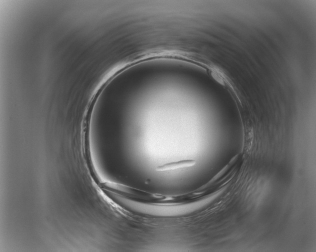 X0000079331151200611171142