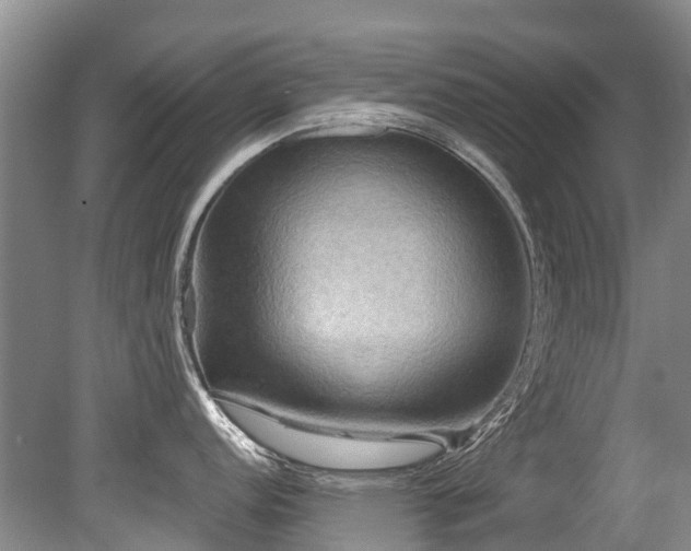 X0000079331152200611171142
