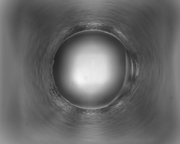 X0000079331153200611171142