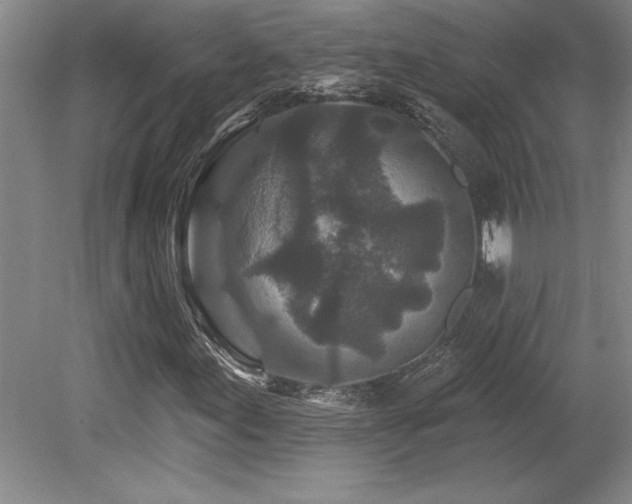 X0000079331155200611171142