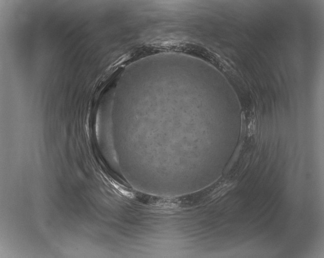 X0000079331156200611171141