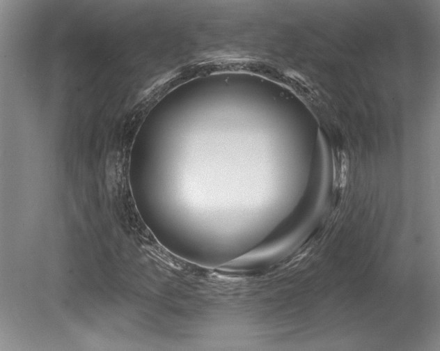 X0000079331157200611171141