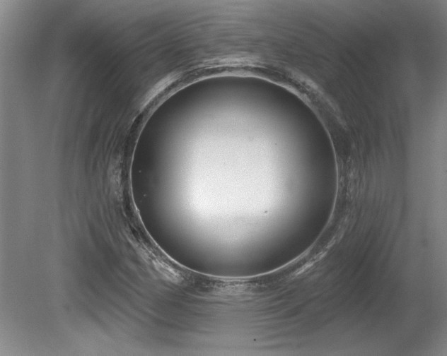 X0000079331162200611171141