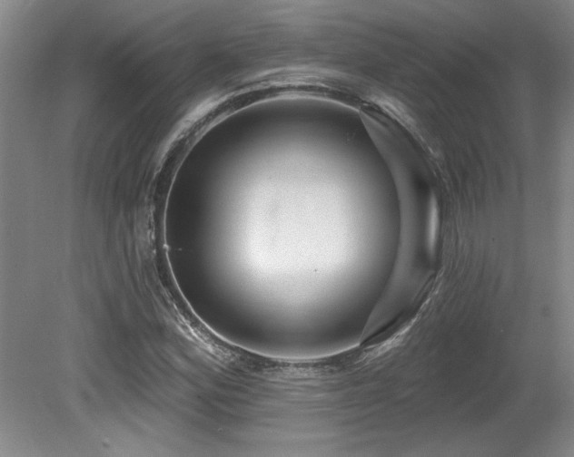 X0000079331164200611171141