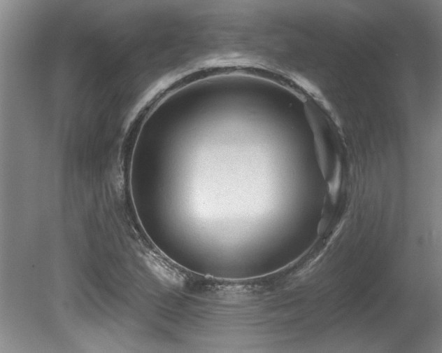 X0000079331167200611171141