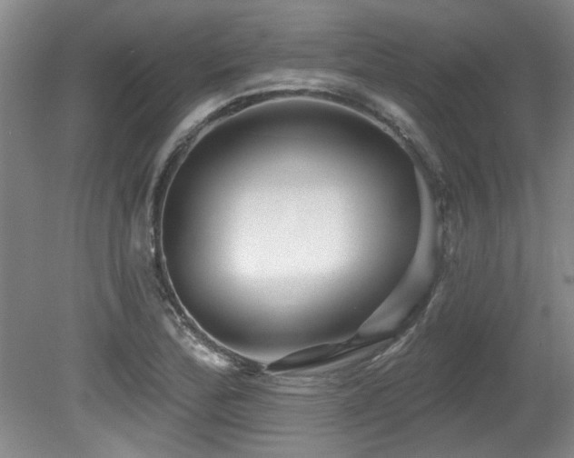 X0000079331172200611171141