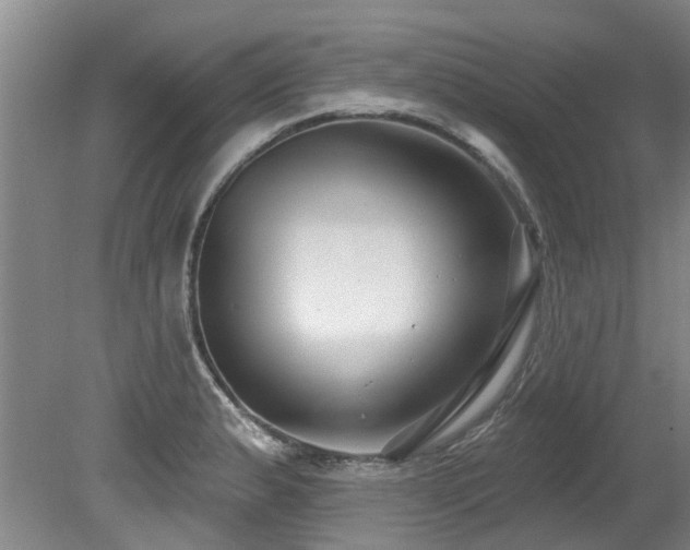 X0000079331183200611171141
