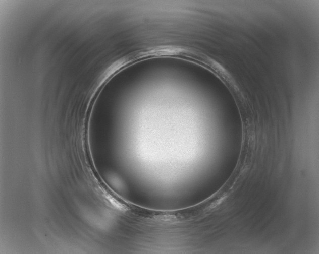 X0000079331186200611171141