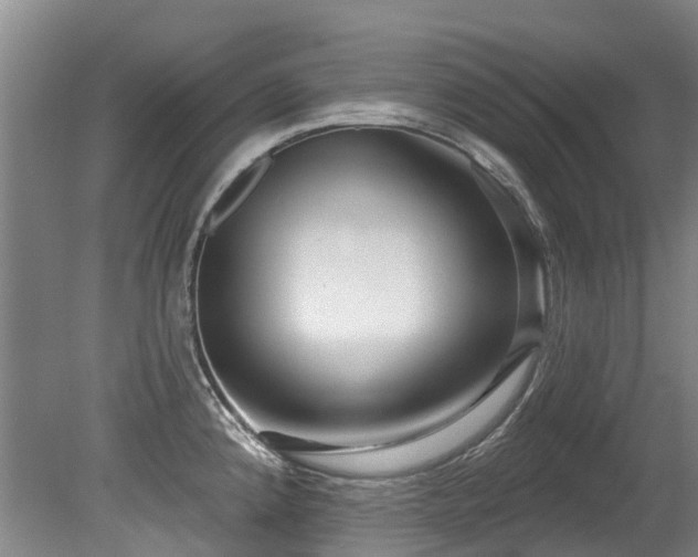 X0000079331192200611171141