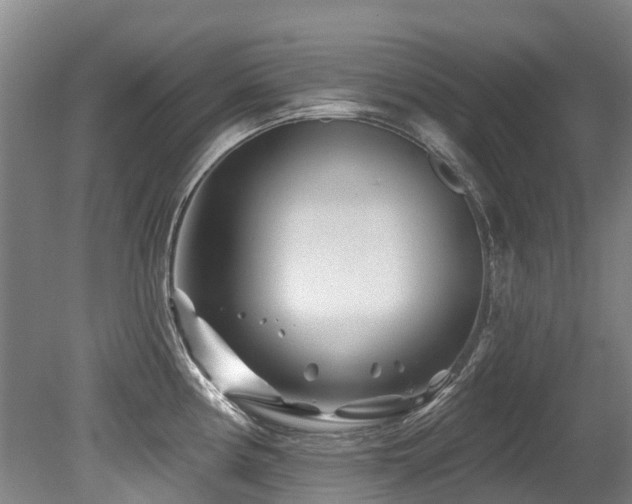 X0000079331194200611171141