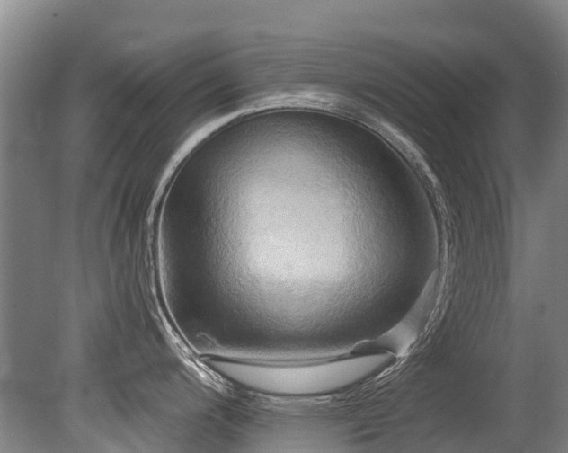X0000079331200200611171141