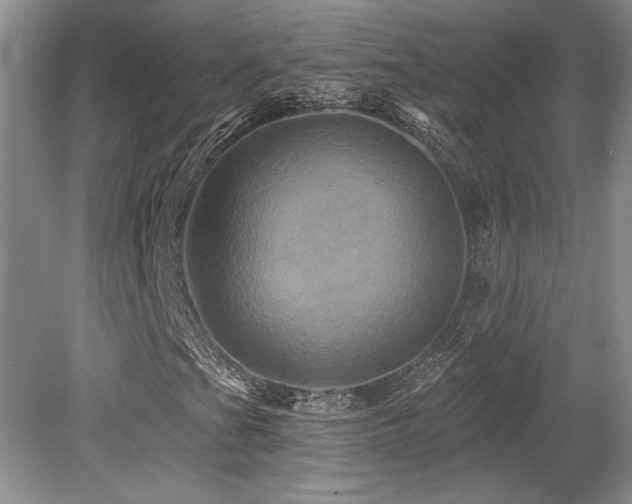 X0000079331201200611171140