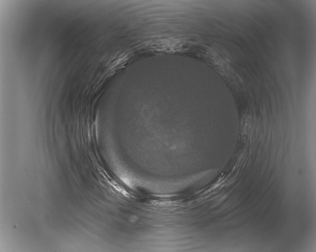 X0000079331202200611171140
