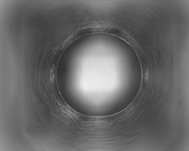 X0000079331204200611171140