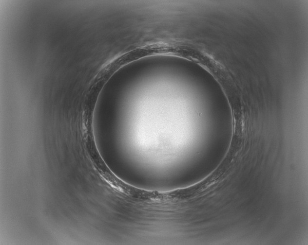 X0000079331206200611171140