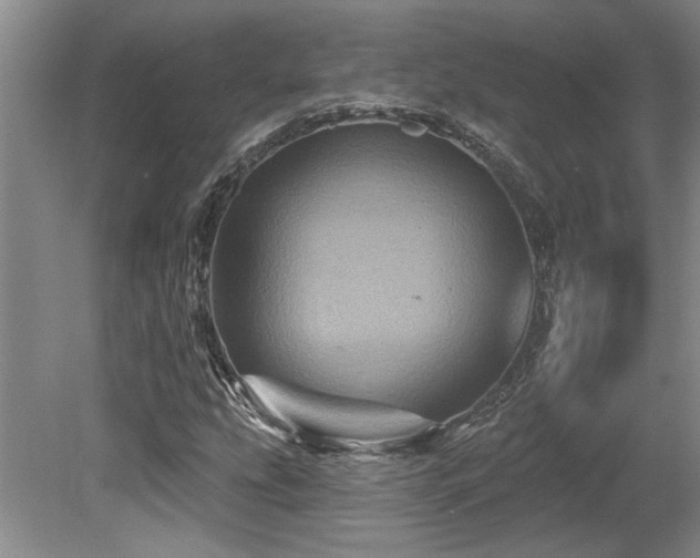X0000079331207200611171140