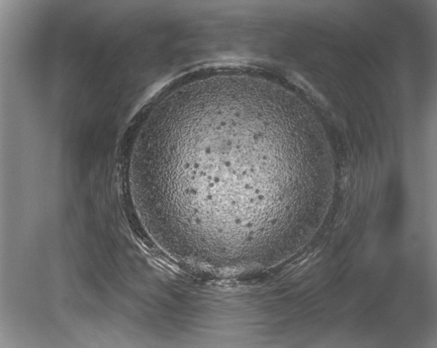X0000079331208200611171140
