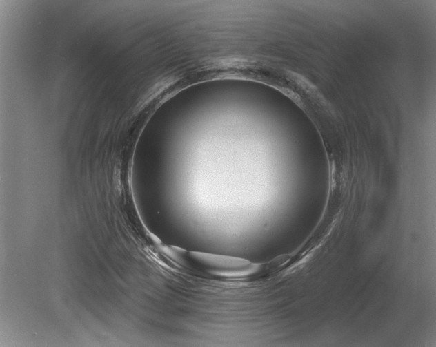 X0000079331209200611171140