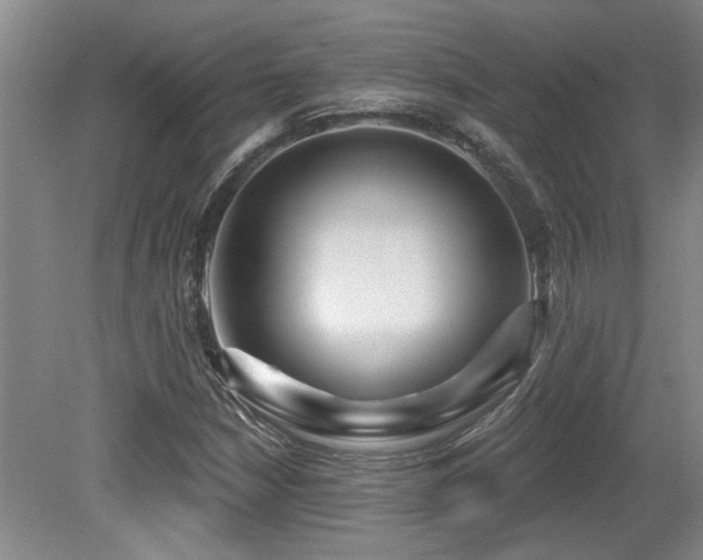 X0000079331210200611171140