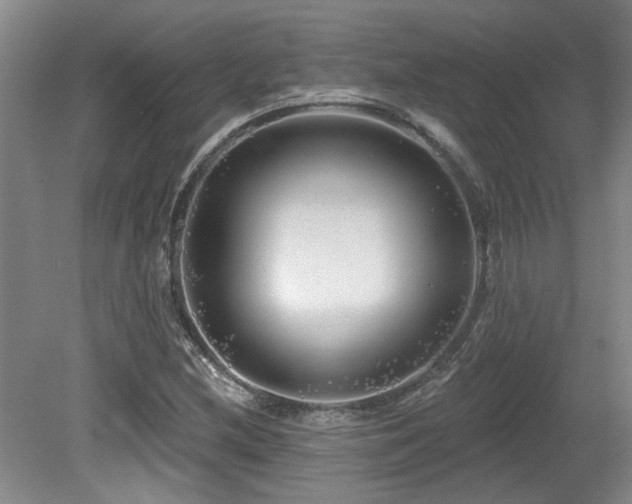 X0000079331212200611171140