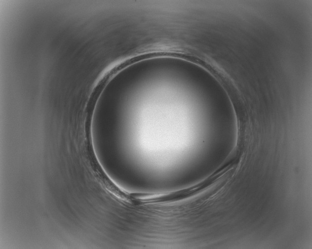 X0000079331222200611171140
