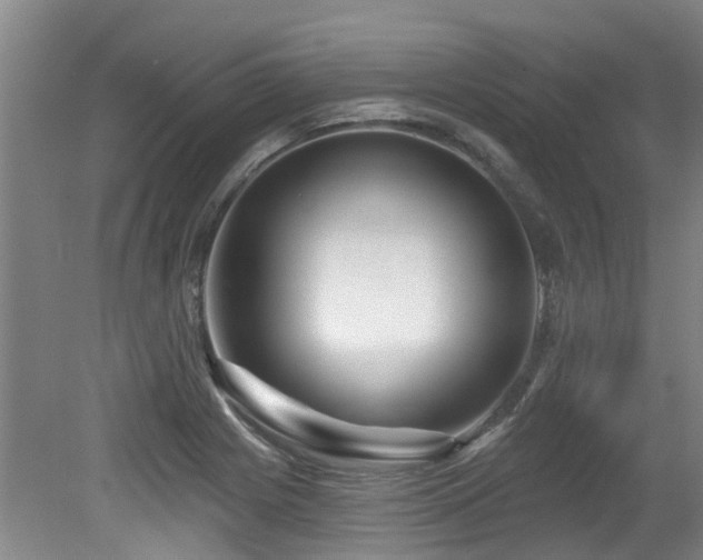 X0000079331225200611171140