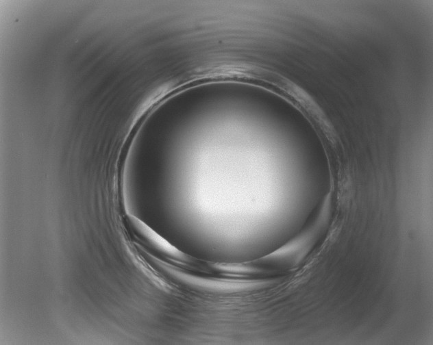 X0000079331234200611171140