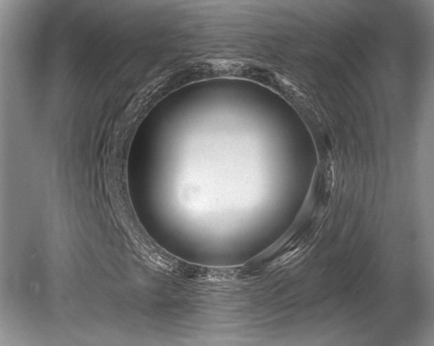 X0000079331249200611171140