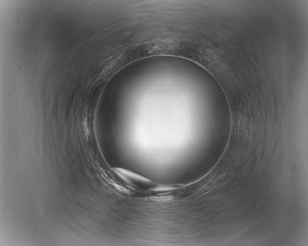 X0000079331250200611171140