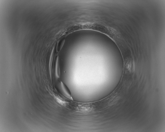 X0000079331252200611171140