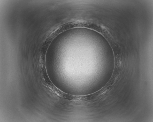 X0000079331253200611171140