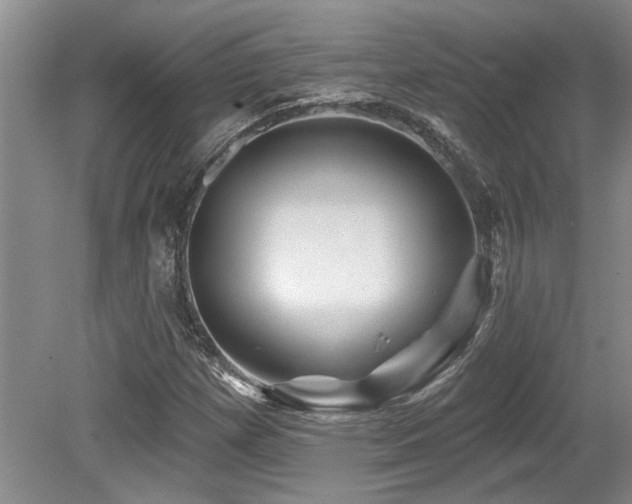 X0000079331257200611171140