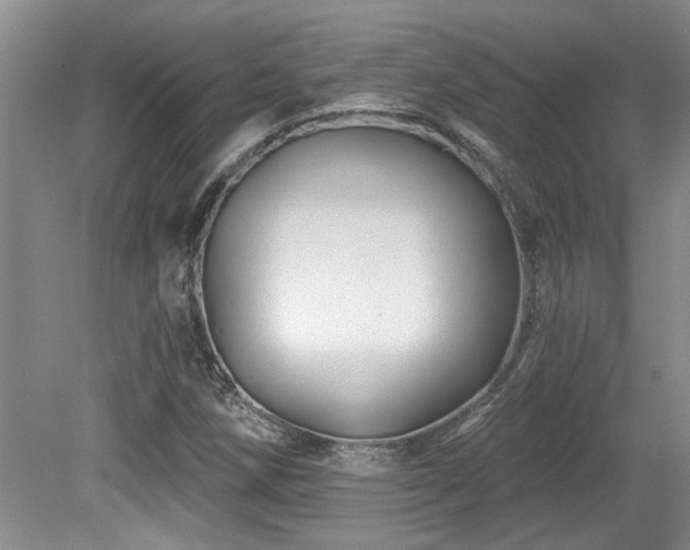X0000079331258200611171140