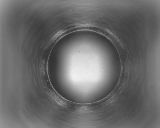 X0000079331265200611171140