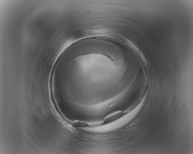 X0000079331291200611171139