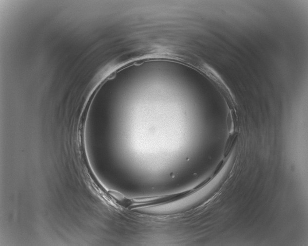 X0000079331292200611171139