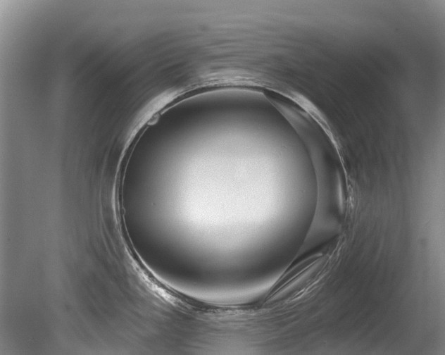 X0000079331293200611171139